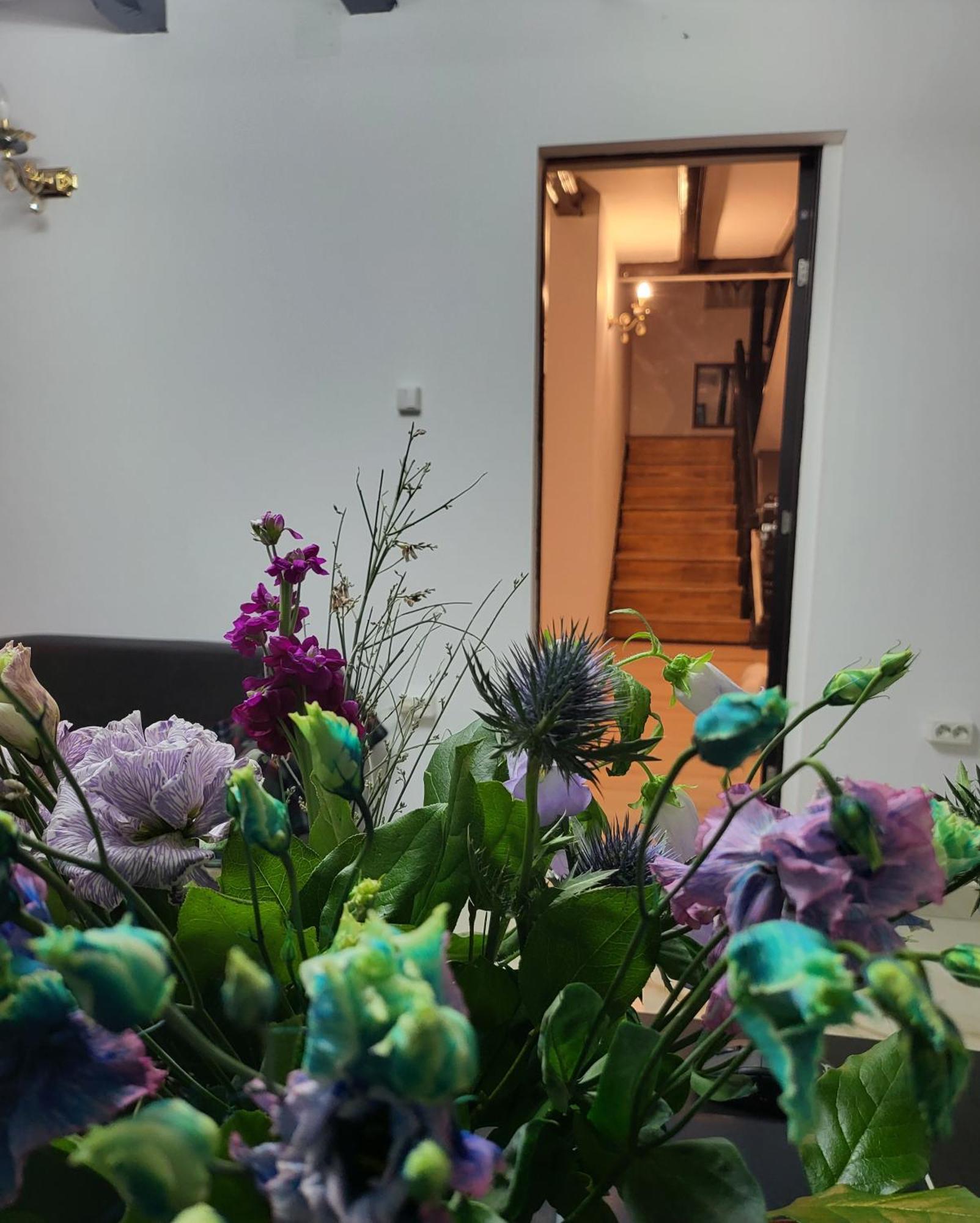 Adac Boutique Hotel Pantelimon Exterior photo