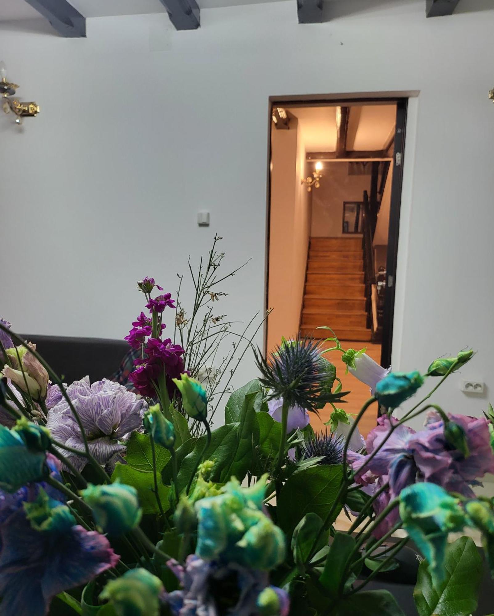Adac Boutique Hotel Pantelimon Exterior photo